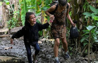 Panama: a record number of children cross the dangerous...