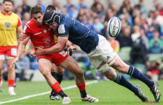 Rugby, Champions Cup: Leinster crushes Stade Toulousain...
