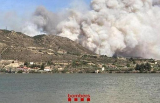 Spain Declared a forest fire in the Zaragoza town...