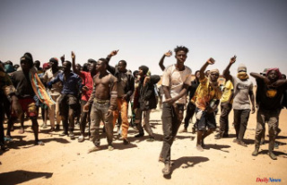 "We have become cattle": in Niger, migrants...