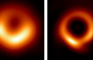 Black hole in galaxy M87, a "donut" turned...