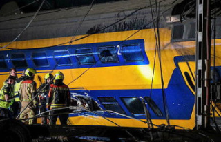 Netherlands: One dead and 30 injured in train derailment