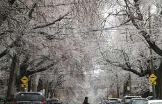 Ice storm: Montreal frozen under the ice, significant...