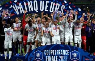 Coupe de France: Toulouse crowned champion against...