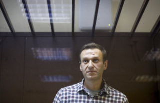 Russia Navalny, sick and losing weight in prison:...