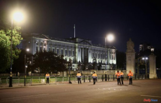 UK: Suspected gunman arrested near Buckingham Palace