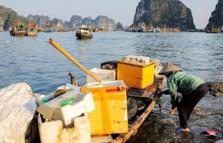 Vietnam: the beauty of Ha Long Bay threatened by waste
