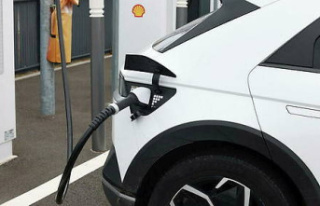 100,000 charging stations: can we finally drive electric...