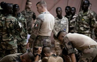 Niger, "laboratory" of the new French military...