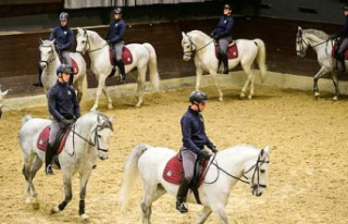 In Slovenia, Lipizzaner horses twirl around for Unesco