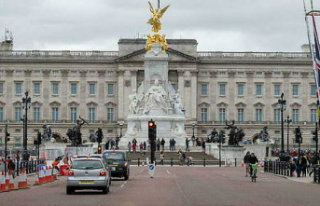 Buckingham Palace: Man arrested after 'controlled...