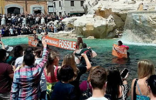 Rome: Trevi fountain blackened by environmental activists