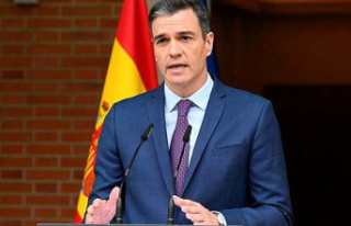 Spain: Pedro Sanchez calls early legislative elections