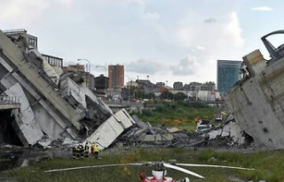Genoa bridge: the risk of falling was known before...