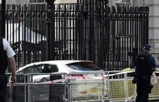 UK: Car hits Downing Street gates, man arrested