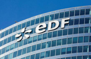 Renationalisation of EDF: the Court of Appeal must...