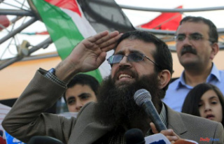 Death in custody in Israel of Khader Adnane, figure...