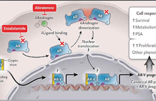 Why Andarine is the Most Popular Androgen Receptor...