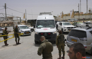 Three Israeli soldiers shot dead on the Israeli-Egyptian...