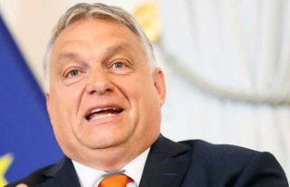 Hungary's EU presidency stirs up turmoil in EU