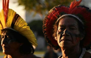 Indigenous people demonstrate in Brasilia, on the...