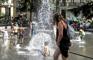 Heat wave: heat records in the South, 10 departments...