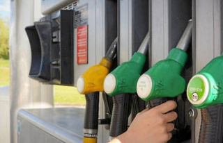 Sale of fuel “at a loss”: a bill “very quickly”