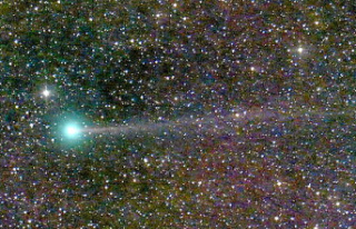 Comet Nishimura: now is the time to observe it