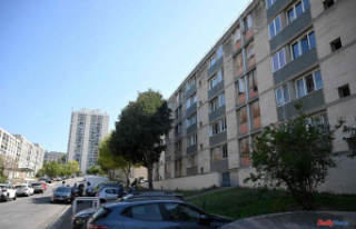 In Marseille, a young woman is brain dead after shooting...