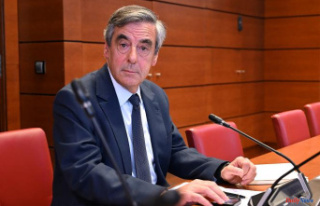 Fillon affair: the Constitutional Council rules in...