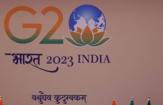 The G20 includes Africa but struggles to make progress...