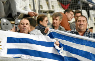 Rugby World Cup: Uruguay, a XV in full progress