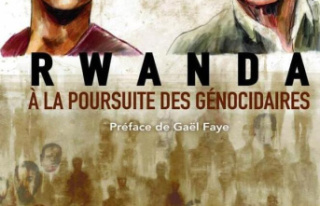 “Rwanda, in pursuit of the genocidaires”: the...