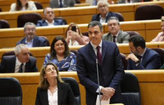 politics The Senate disapproves of Pedro Sánchez's...