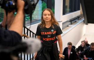 Greta Thunberg fined again for blocking Malmö port