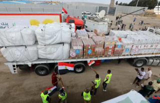 Middle East Second aid convoy enters Gaza through...
