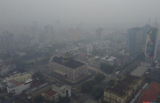 In Brazil, the city of Manaus is suffocating under...