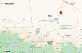 In Mali, the army claims to be getting closer to Kidal,...