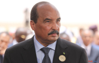 Mauritania: twenty years in prison required against...
