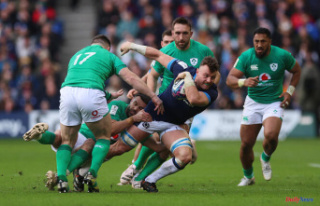 Rugby World Cup: for Scotland, against Ireland, it's...