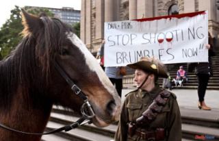 Australia to resume slaughter of wild horses by helicopter...