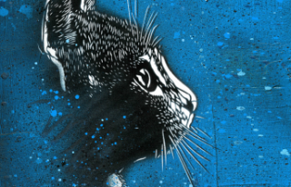 “The World of C215. The art of street stencils:...