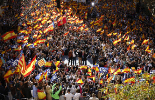 Spain Tide of mobilizations throughout Spain against...