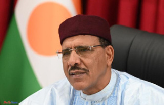 Niger: ECOWAS Court of Justice orders “immediate”...