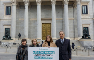 Spain Hay Derecho presents 100,000 signatures in Congress...