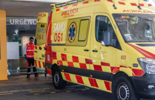 Spain A 12-year-old boy is seriously injured after...