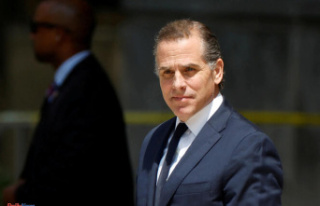 United States: Joe Biden's son indicted for tax...