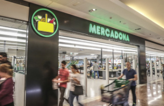 Supermarkets New Mercadona hours for Christmas 2023:...