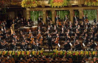 Television New Year's Concert Vienna 2024: program,...
