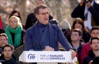 Spain The PP returns to Madrid against the amnesty...